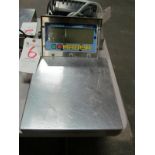 Fairbanks mod. FB1100 Digital Platform Scale, 12"x12"