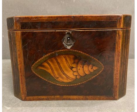 A Georgian 18th Century burr yew octagonal tea caddy AF 