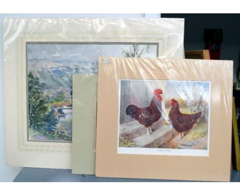 Three pictures: A print entitled ' Wonders of the Waters', a print of hens entitled 'Speckled Sussex' together with a Patrici