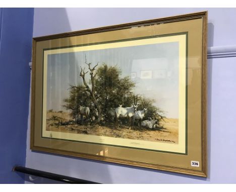 David Shepherd, signed, limited edition print, 'Arabian Oryx', Solomon and Whitehead blind stamp, 52 x 81cm