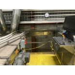 Lagrotta empty can conveyor, 24 in w x 30 ft combining down 14 in wide x 10 ft to single lane feed