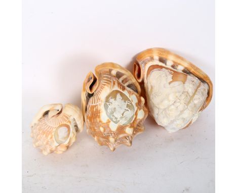 3 early 19th century conch shells with relief carved Classical cameo panels, largest length 15cmA few very minor chips on the