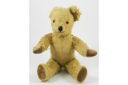 pedigree teddy bear 1950s