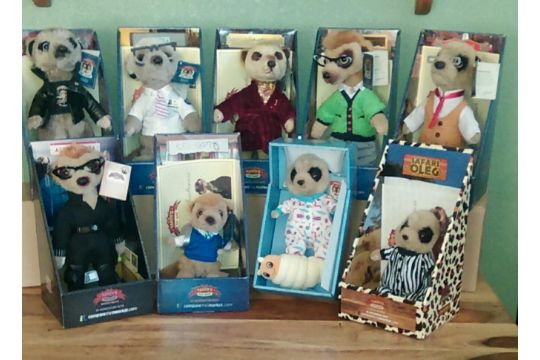 compare the meerkat teddy