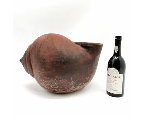 Terracotta snail shell planter - 44cm across x 30cm high ~ has slight losses to 1 side