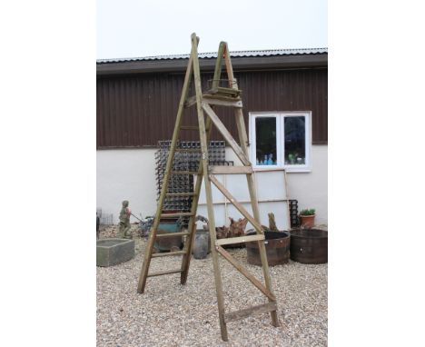 Large Set of Vintage Wooden Decorators Ladders, 287cms high 