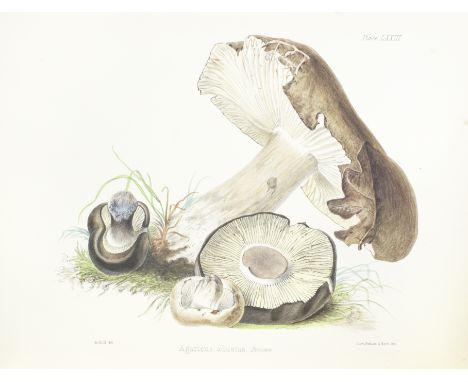 HUSSEY (ANNA MARIA)Illustrations of British Mycology, Containing Figures and Descriptions of the Funguses of Interest and Nov