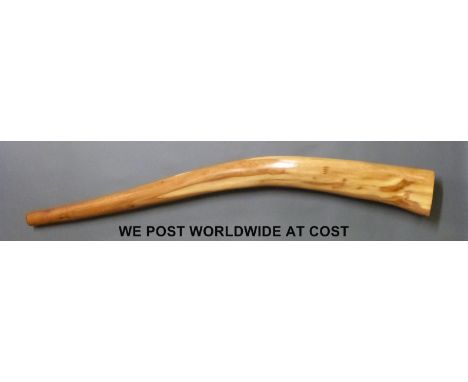 An Australian Didgeridoo, 'naturally produced by termites', approximately 148cm length, thought to be a bass example, in a cl