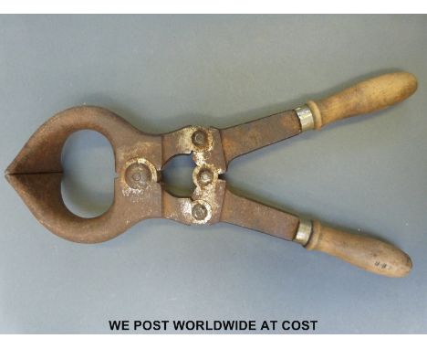 A vintage bull castrating tool