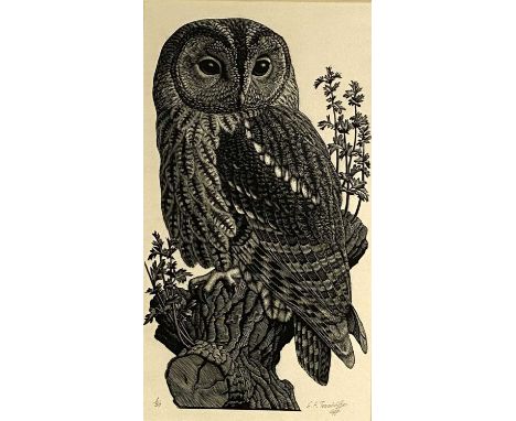 ARR Charles Frederick Tunnicliffe OBE RA (1901-1979) Wood Owl, 1946, signed lower right, numbered 1/50, wood engraving on Jap
