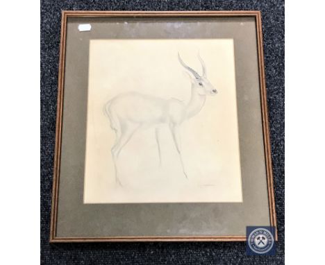 J. R. Skeaping, pencil and ink sketch of a Leechwee Antelope, signed