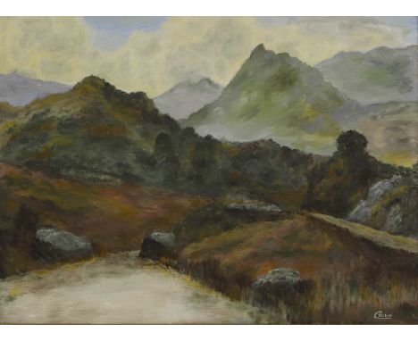 C Hinn (contemporary) Borrowdale, Cumbriasigned 'C HINN' l.r., oil on canvas46 x 61cmCondition ReportFramed: 61 x 76cmAppears