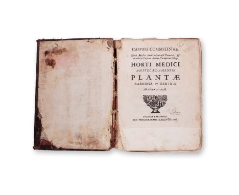 COMMELIN, CASPAR (1668-1731): HORTI MEDICI AMSTELAEDAMENSIS PLANTAE1706 | PUBLISHER: Lugduni batavorum, Fredericum Haringh | 