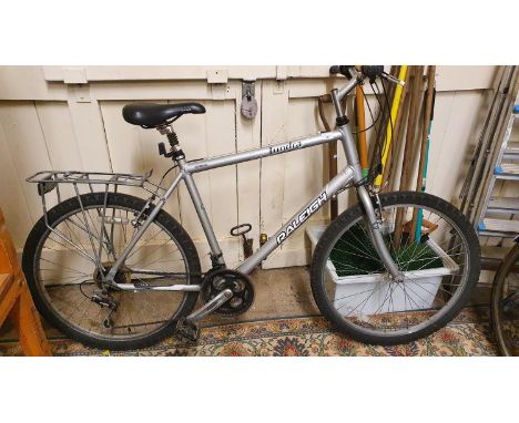 Raleigh tundra cheap ladies bike