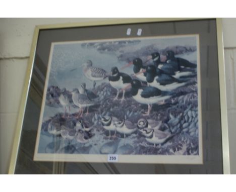 A Limited Edition Coloured Print Of Oyster Catchers And Wading Birds, Signed And Numbered In Pencil By Charles Frederick Tunn
