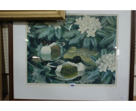 A Limited Edition Coloured Print Of Shoveller Duck After An Original By Charles Frederick Tunnicliffe. Signed In Pencil
