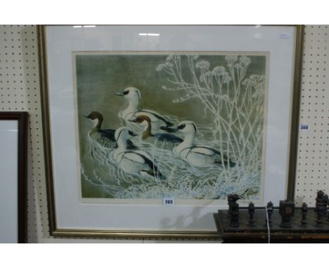 A Limited Edition Coloured Print Of Smew After An Original By Charles Frederick Tunnicliffe, Signed And Numbered In Pencil