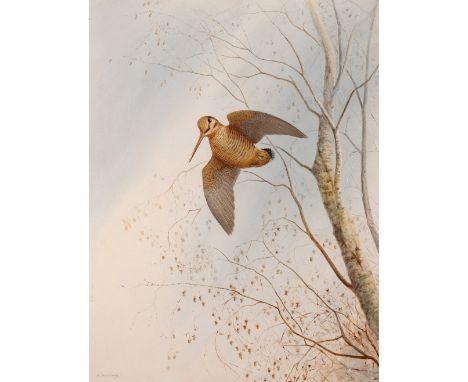 R DAVID DIGBY ARR
Teal with snow
Watercolour, signed, 30cm x 45cm
and another of a Woodcock by the same hand (2) CONDITION RE
