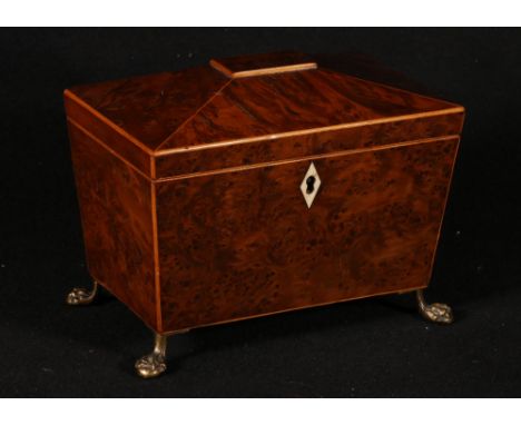 Regency amboyna sarcophagus tea caddy raised on brass paw feet, 18cm high
