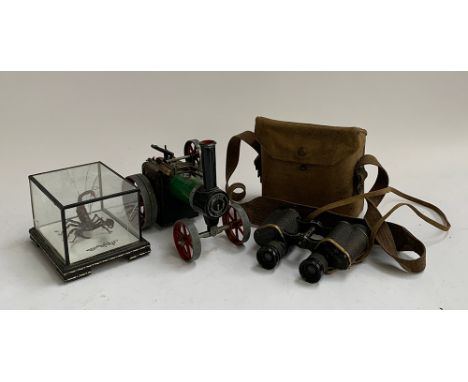 A cased Malaysian scorpion 'Palanaeus Fulvipes'; together with a Mamod TE1A steam engine (af); and a cased set of binoculars 