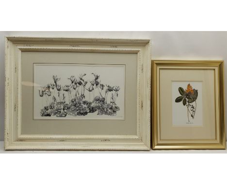 Large monochrome floral print and another smaller similar, both in quality frames (2)