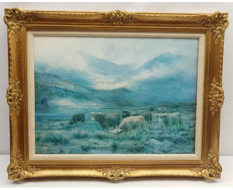 Print of Highland Cattle in gilt frame, to fit 16" x 22" picture