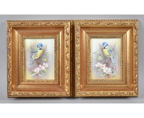 A Pair of Gilt Framed Painted Porcelain Miniatures by R Poole, Painted for Royal Worcester, Depicting Blue Tits, 9cms by 6.5c