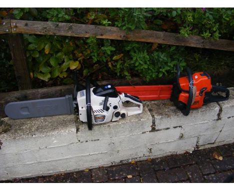 An electric chainsaw together with one other