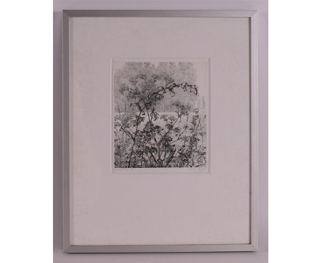 Homan, Reinder E. (Smilde 1950-) "Salomon's seal", signed in full in pencil l.o and '88, etching/paper no. 42/105, h 14 x w 1