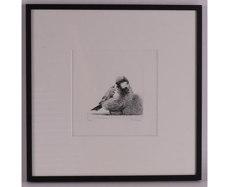 Ommen, from, Erik Geert Cornelis (Erik) (Groningen 1956 ) "Sparrow", signed in full in pencil r.o, etching/paper no. 7/25, h 