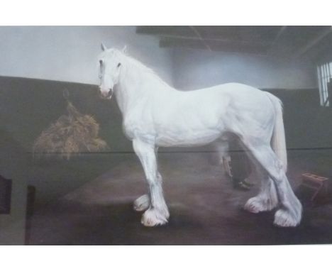 'Jupiter' - Horse portrait, limited edition colour print signed, titled and numbered 479/850 in pencil 53cm x 78cm  Condition