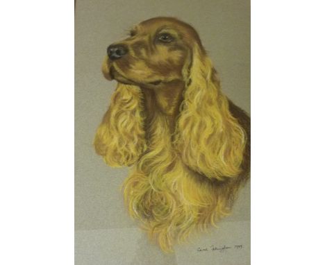 Spaniel, pastel dog portrait signed and dated Carol Fellingham 1988 37cm x 26cm  Condition Report Click here for further imag