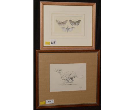 Louise Wood - Portrait of a Greyhound, signed and dated '79, pencil, 12 x 16cms; and Daphne Harrison - Butterflies, signed, w