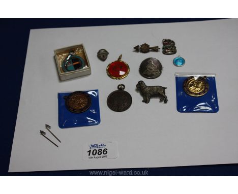 Miscellaneous enamel Badges and Medals