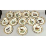 A SUPERB SET OF TWELVE VIENNA PLATES, edged in gilt and painted with birds. Vienna mark and