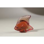 A TINY AMBER GLASS LALIQUE FISH in a Lalique box. 5cms.