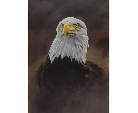 Golden Eagle, limited edition colour print no. 29/395 after Alan M Hunt (British 1947-) signed and numbered in pencil 50cm x 