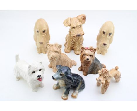 A collection of Sylvac dogs to include a Westie, a Poodle and others, (8).  In good condition with no obvious damage or resto