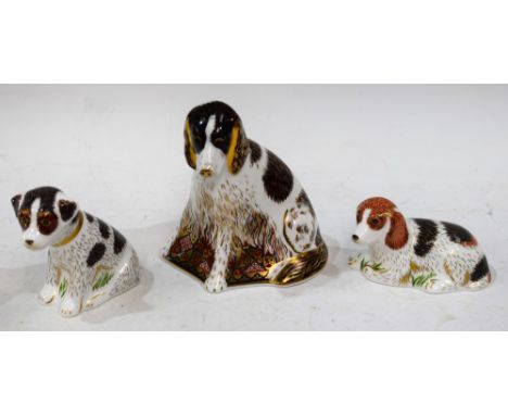 A Royal Crown Derby paperweight, Molly, Collector's Guild Exclusive, gold stopper, boxed; others, Belle and Sitting Puppy, bo