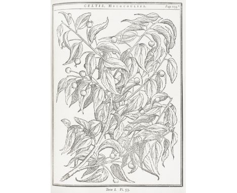 DUHAMEL DU MONCEAU (HENRI-LOUIS)Traité des arbres et arbustes qui se cultivent en France en pleine terre,  2 vol.,  half-titl