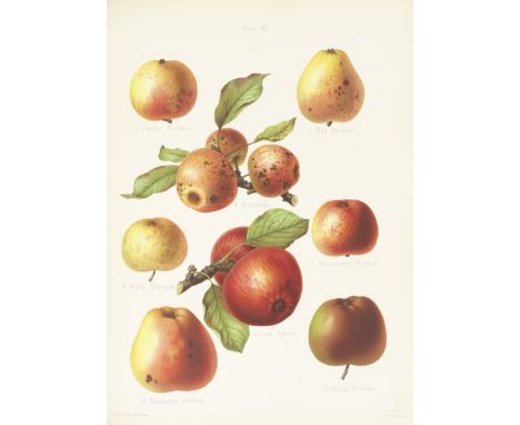BULL (HENRY GRAVES)The Herefordshire Pomona, Containing Original Figures and Descriptions of the Most Esteemed kinds of Apple