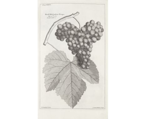 LANGLEY (BATTY)Pomona: or, the Fruit-Garden Illustrated, FIRST EDITION,  title-page printed in black and red, 79 engraved  pl