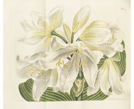 CURTIS (WILLIAM)The Botanical Magazine or Flower Garden Displayed, 36 vol. in 18,  1501 hand-coloured plates (some folding) b