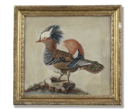 Sarah Stone (British, circa 1760-1844)A Mandarin drake (Aix galericulata)Signed and dated 'Sarah Stone 1781' (lower left) Wat