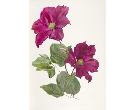 STEP (EDWARD) &amp; WILLIAM WATSONFavourite Flowers of Garden and Greenhouse, 4 vol.,  316 colour plates after D. Bois, publi