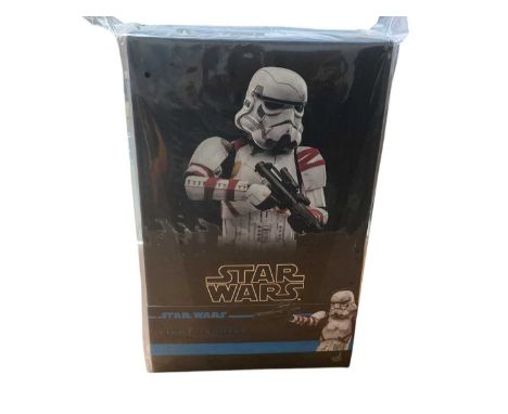 Star Wars Hot Toys 1/6th Scale action figure 'Ahsoka' Night Trooper, boxed, TMS121.