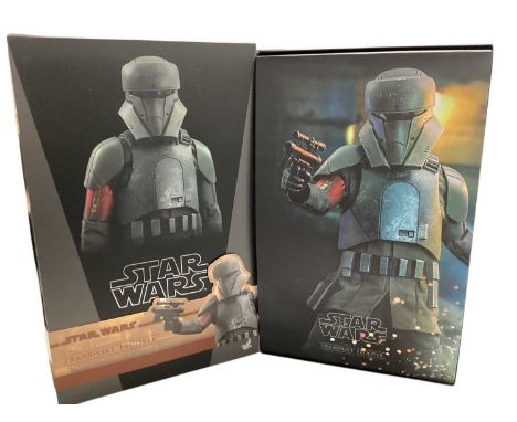 Star Wars Hot Toys 1/6th Scale action figure 'The Mandalorian' Transport Trooper, boxed, TMS030 and Artillery Stormtrooper (m