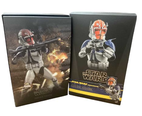 Star Wars Hot Toys 1/6th Scale action figure 'Clone Wars' Captain Vaughan, boxed TMS065 and Coruscant Guard, boxed TMS025