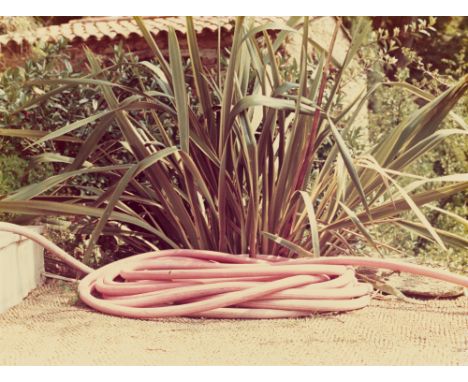 (See English version below)David Hockney (Bradford 1937 – lebt in London und Los Angeles). Pink Garden House. 1972C-Print, 19