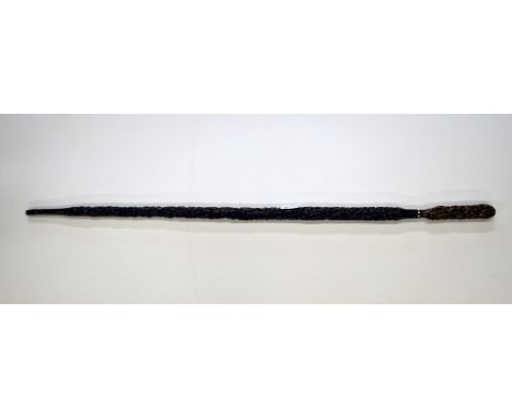 An interesting Edwardian briarwood walking stick carved to look like a parasol, L. 88cm.